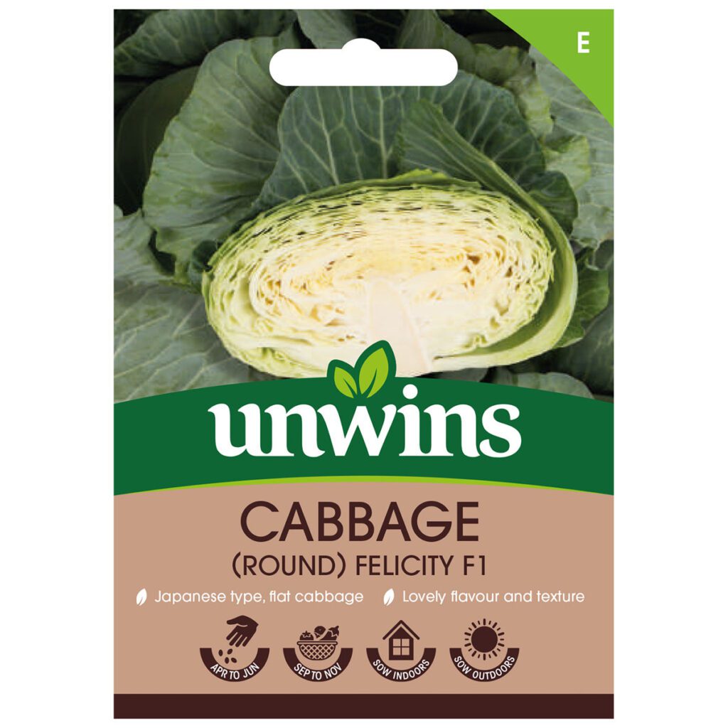 Unwins Cabbage Felicity Seeds 5051618038294 2